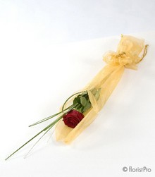 Rose Gift**
