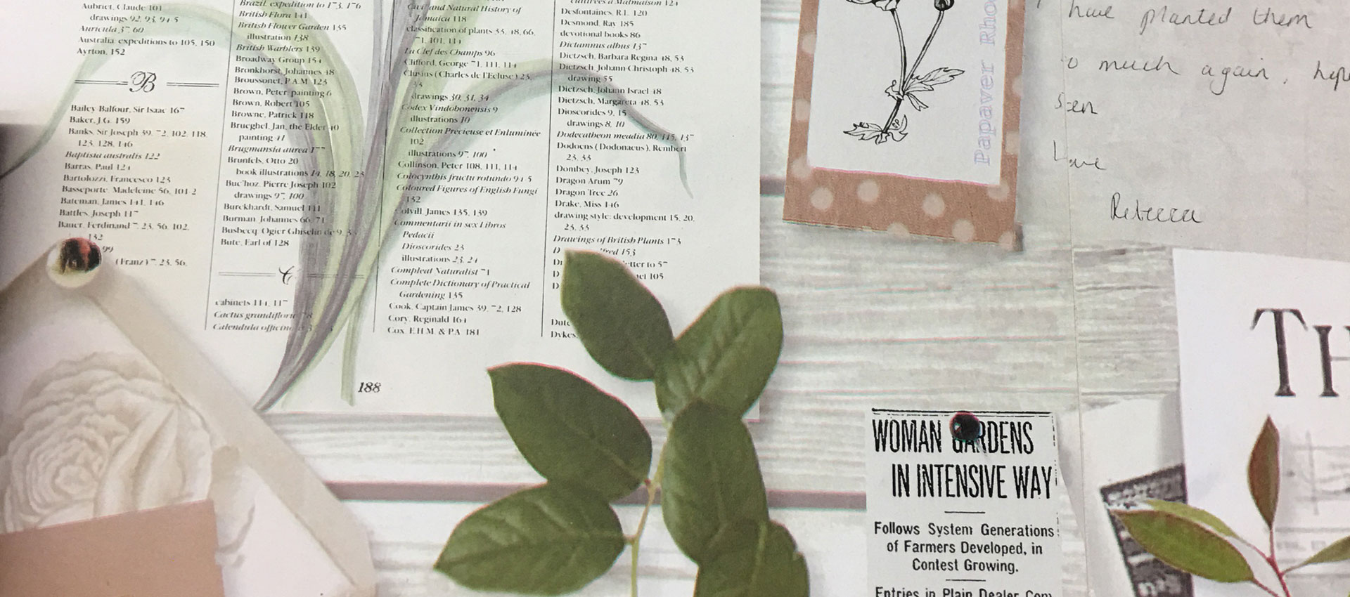 About Phoenix Flowers Nottingham 0115 921 2300